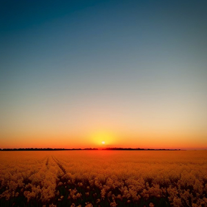 老人性交免费看
